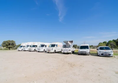 Flota de vehículos de Los Gemelos alineados en el exterior, listos para servicios de mudanza.